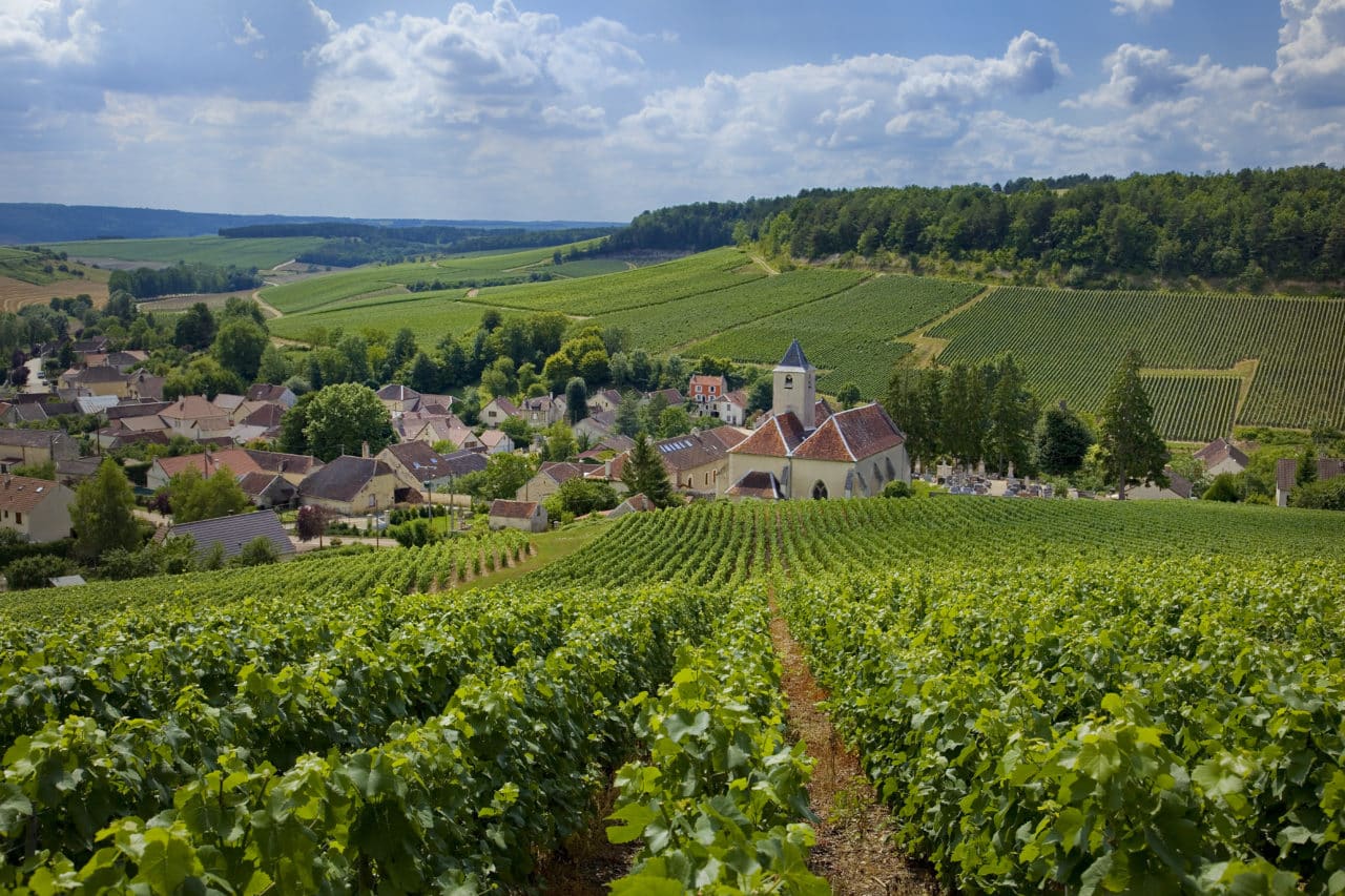 vigne et vllage